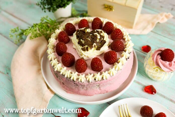 Himbeer-Mascarpone-Torte ohne Gelatine gebacken nach einem schnellen Rezept, verziert mit einem Herz aus Schlag, vielen kleinen Tupfen und frischen Früchten.