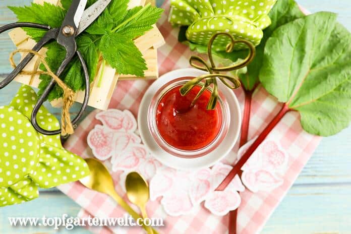 Ein kleines Einkochglas gefüllt mit Rhabarber-Himbeer-Marmelade. Daneben liegen ein paar frische Blätter und eine Schere.