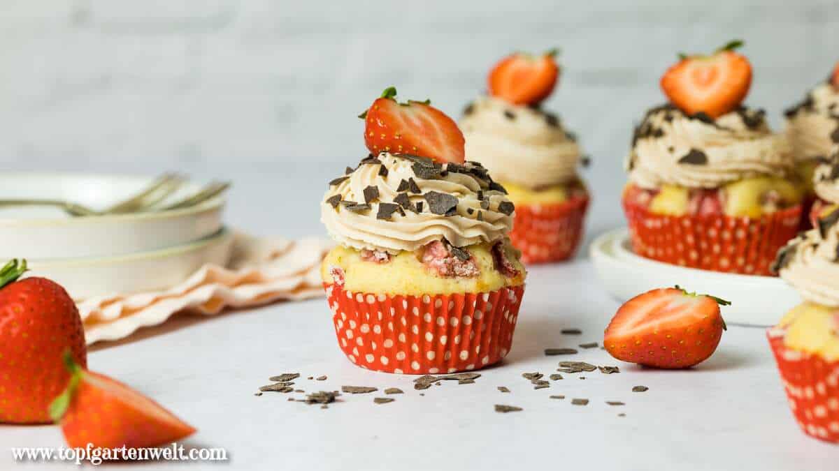 Erdbeer Cupcakes mit Erdbeer Frischkäse Frosting - Foodblog Topfgartenwelt