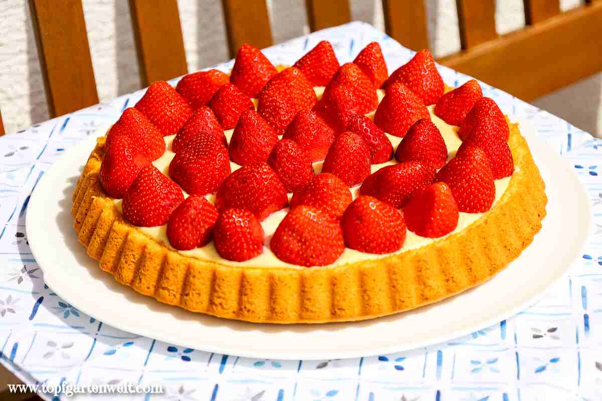 Erdbeerkuchen mit Vanillecreme ohne Tortenguss - Foodblog Topfgartenwelt