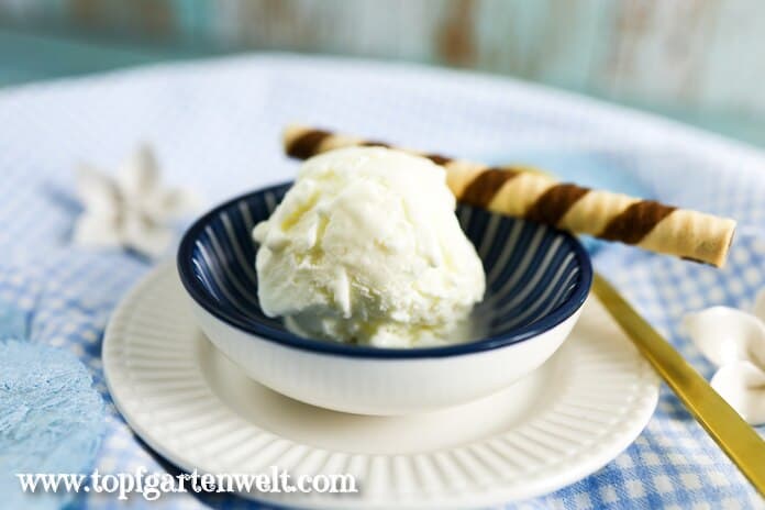 Eine Kugel Joghurt Eis ist einem blauen Schälchen angerichtet. Daneben liegt ein goldener Löffel.