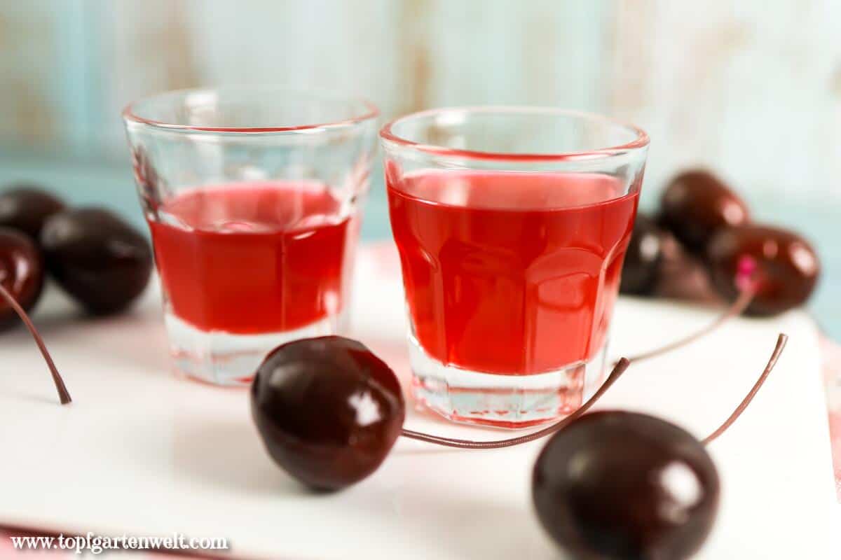 Kirschlikör selber machen mit Wodka ohne Wartezeit - Foodblog Topfgartenwelt