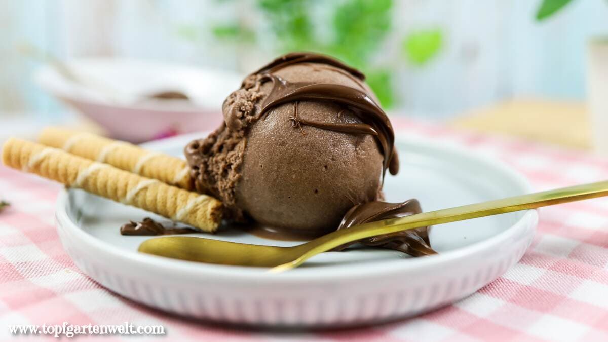 cremiges Nutella-Eis selber machen - Foodblog Topfgartenwelt