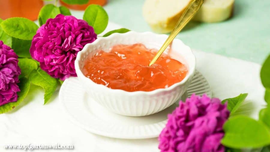 Rosenblütensirup mit Apfelsaft oder Weißwein - Foodblog Topfgartenwelt