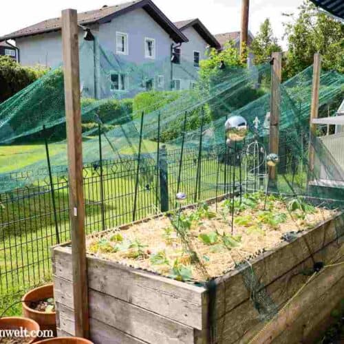 Hagelschutz für das Hochbeet selber bauen - Gartenblog Topfgartenwelt