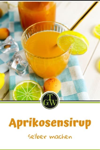 Aprikosennektar selber machen mit wenig Zucker