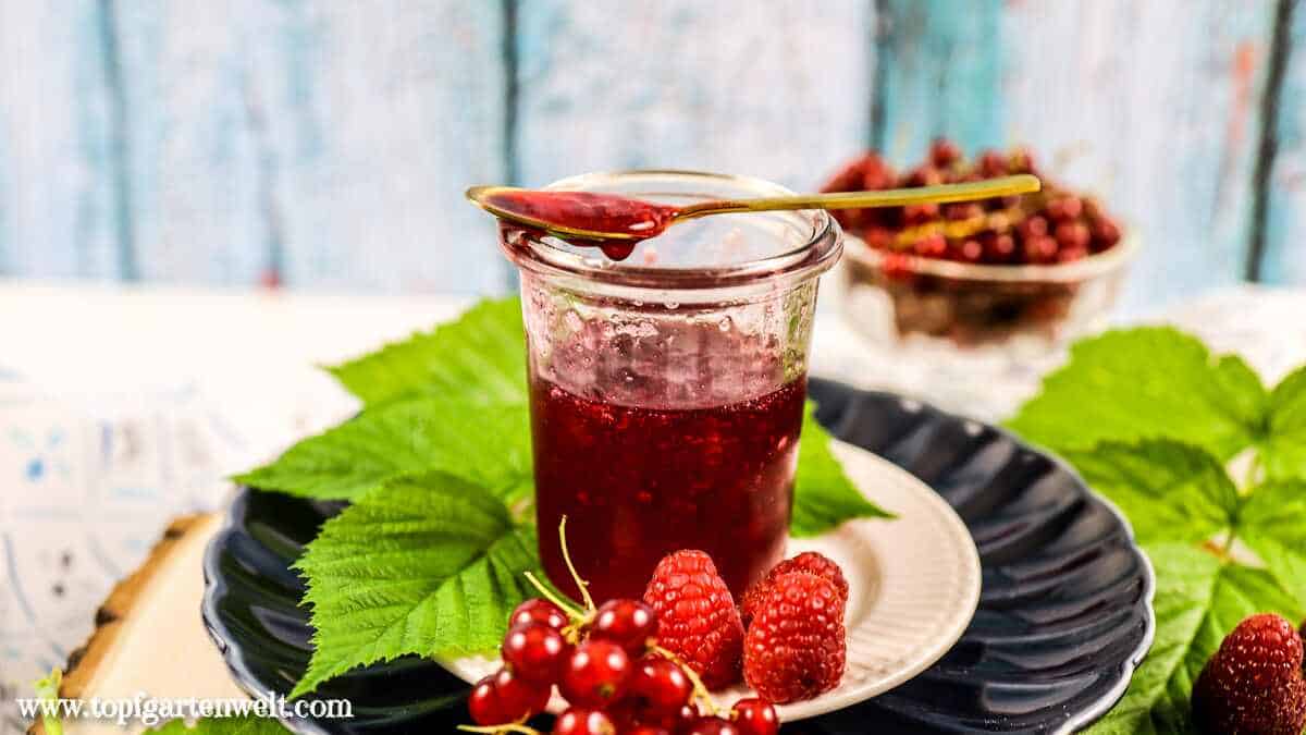 Himbeer-Johannisbeer-Marmelade ohne Kerne einkochen - Foodblog Topfgartenwelt