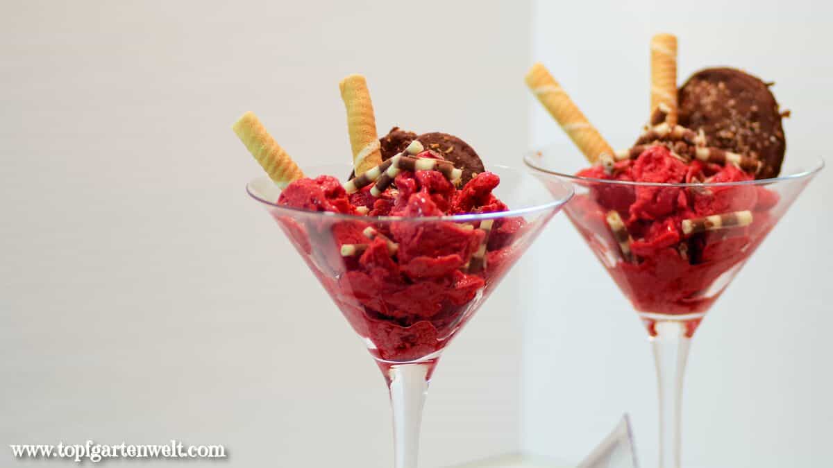 Buchtipp Eis genießen - verführerische Rezepte: Himbeer-Kokos-Eis mit Schoko-Kokos-Talern - Buchrezension - Foodblog Topfgartenwelt