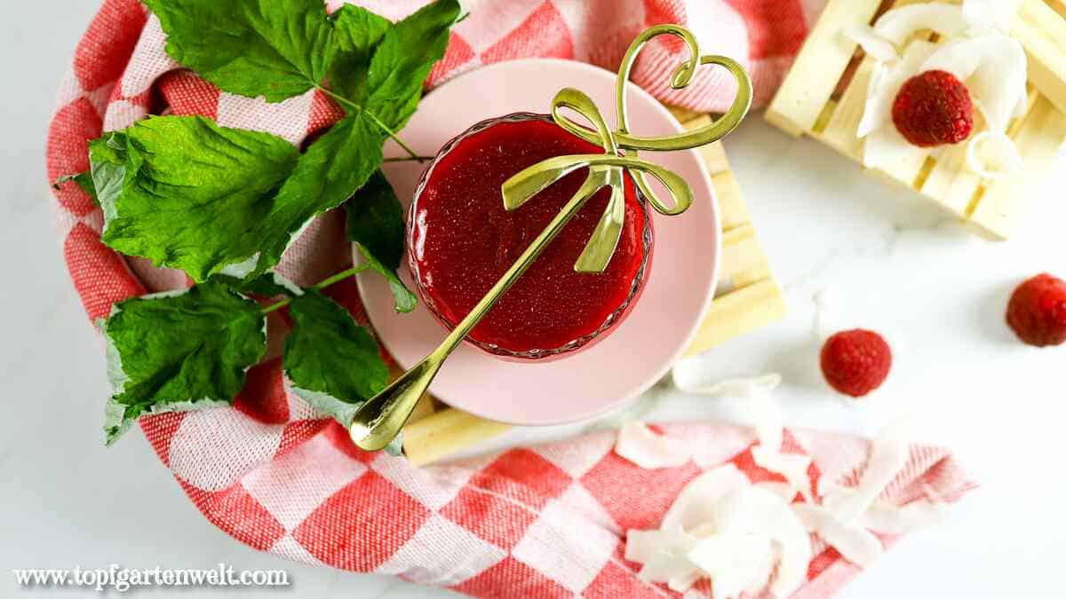 Himbeer-Kokos-Marmelade ohne Kerne - Foodblog Topfgartenwelt