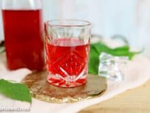 Himbeerlikör selber machen mit Wodka - Foodblog Topfgartenwelt