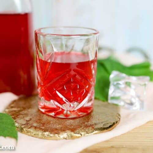 Himbeerlikör selber machen mit Wodka - Foodblog Topfgartenwelt