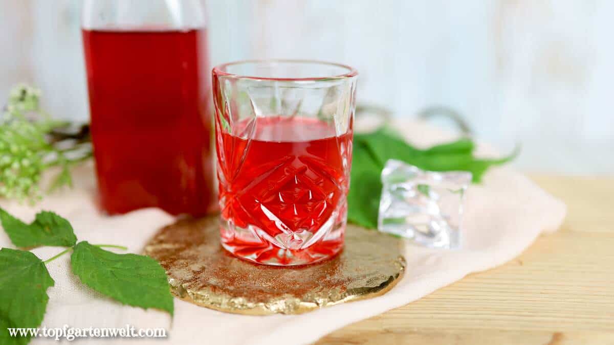 Himbeerlikör selber machen mit Wodka - Foodblog Topfgartenwelt