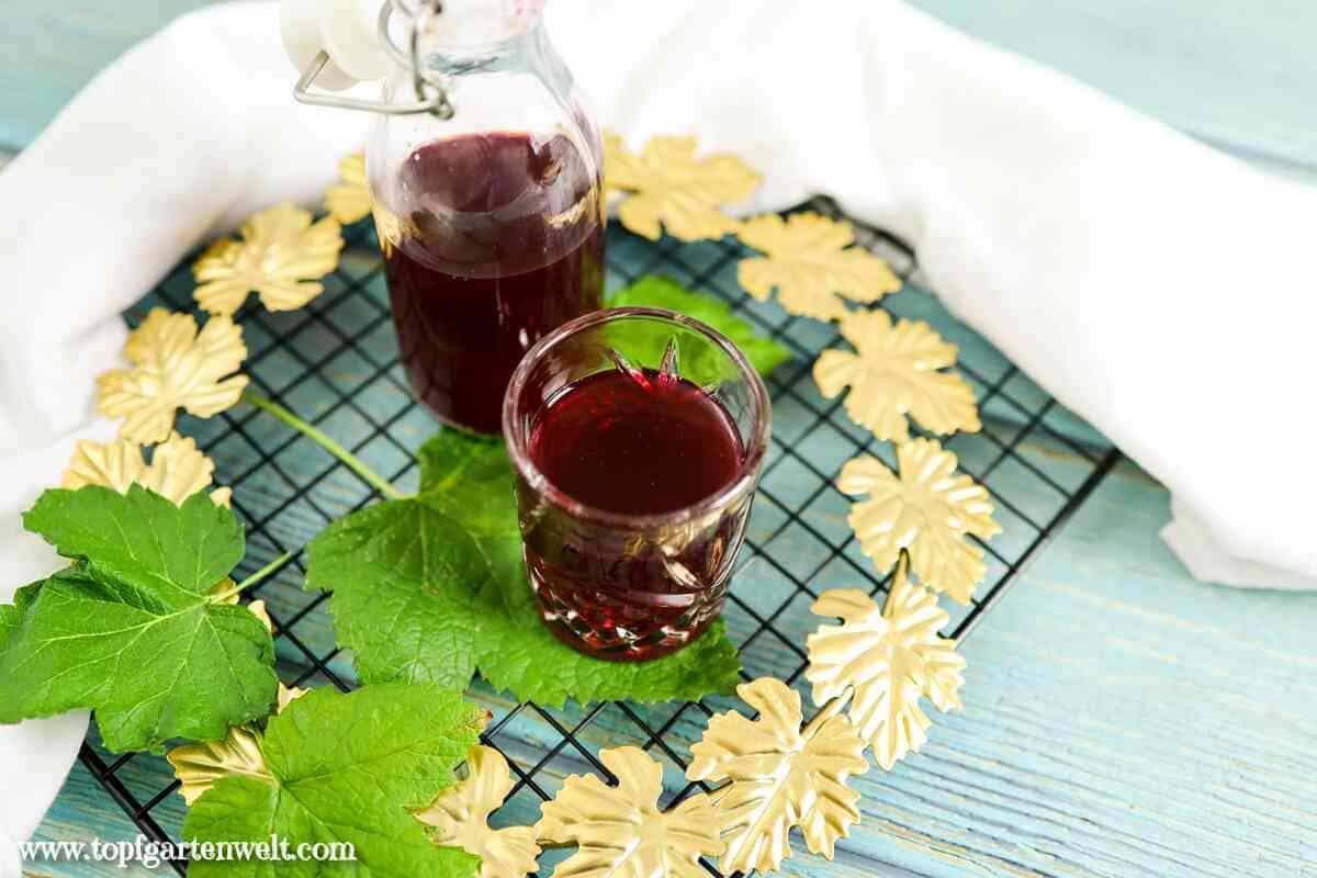 Johannisbeerlikör mit Wodka aus Saft, Ribisellikör - Foodblog Topfgartenwelt