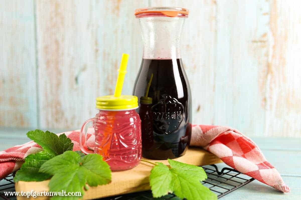 Johannisbeersirup selber machen, Ribiselsirup - Foodblog Topfgartenwelt