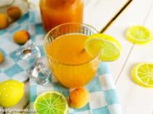 Marillensirup, Aprikosennektar selber machen - Foodblog Topfgartenwelt
