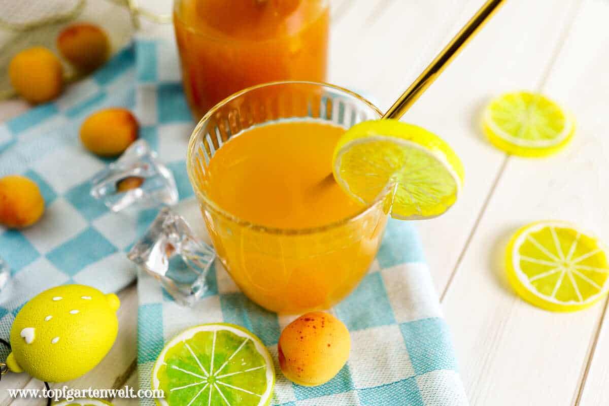 Marillensirup, Aprikosennektar selber machen - Foodblog Topfgartenwelt