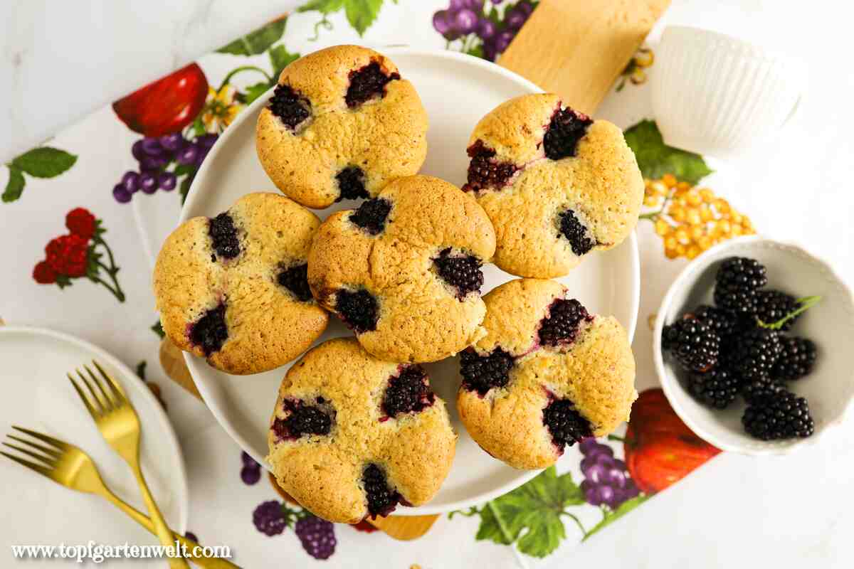 Brombeer Muffins mit Öl und Mandeln - Foodblog Topfgartenwelt