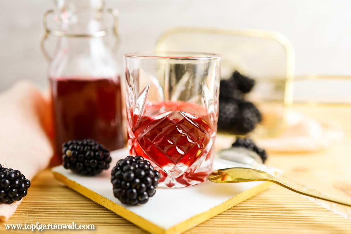 Brombeerlikör mit Wodka aus Saft - Foodblog Topfgartenwelt