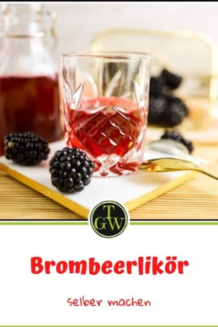 Brombeerlikör selber machen - Pinterest - Foodblog Topfgartenwelt