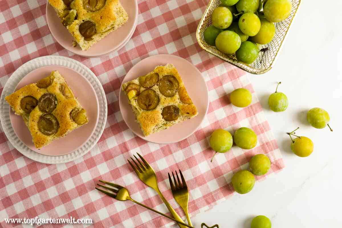 Mirabellenkuchen vom Blech - Foodblog Topfgartenwelt