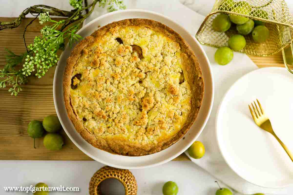 Mirabellenkuchen mit Streusel und Schmand - Foodblog Topfgartenwelt