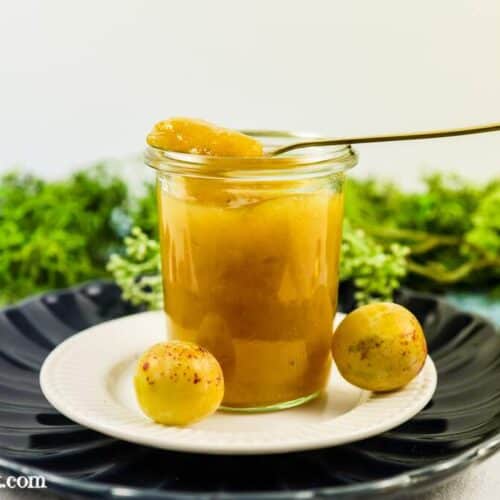 raffinierte Mirabellenmarmelade mit Vanille - Foodblog Topfgartenwelt