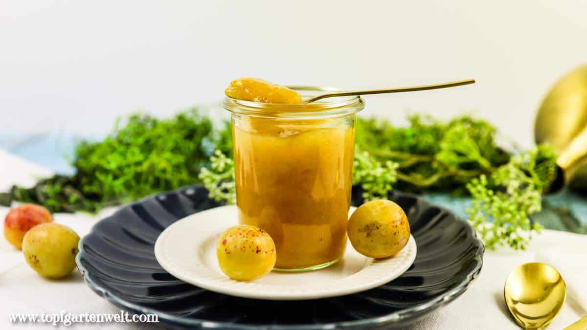 Raffinierte Mirabellenmarmelade mit Vanille und 2:1 Gelierzucker