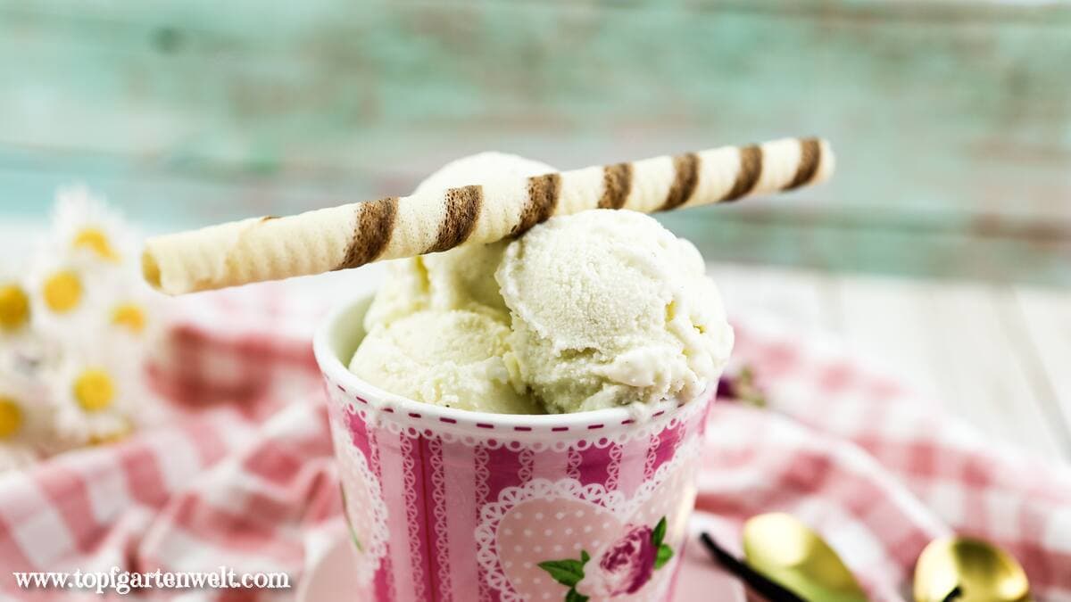 cremiges italienisches Vanilleeis ohne Ei - Foodblog Topfgartenwelt