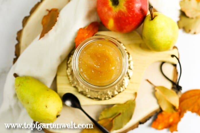 Ein Gläschen Apfel Birnen Marmelade steht auf einem Holzbrett. Daneben sind ein paar frische Früchte und herbstlich gefärbte Blätter zu sehen.