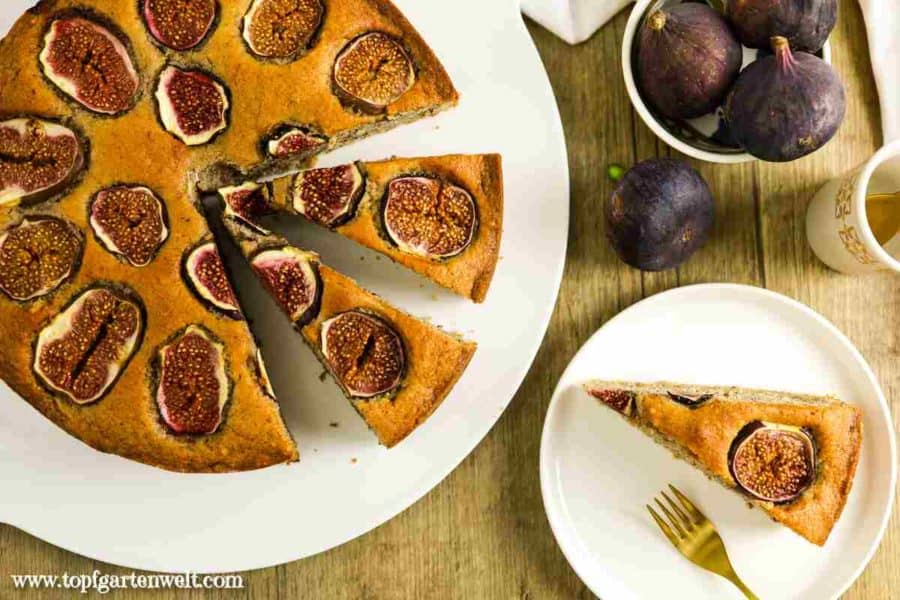Feigenkuchen mit frischen Feigen und Walnüssen - Foodblog Topfgartenwelt