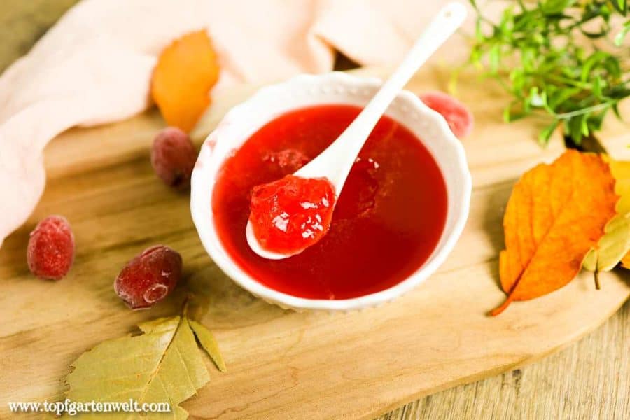 Kornelkirschen Marmelade, Dirndlmarmelade ohne Kerne - Foodblog Topfgartenwelt