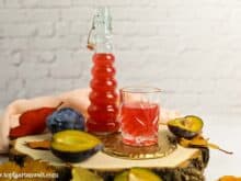 Zwetschgenlikör selber machen mit Wodka - Foodblog Topfgartenwelt