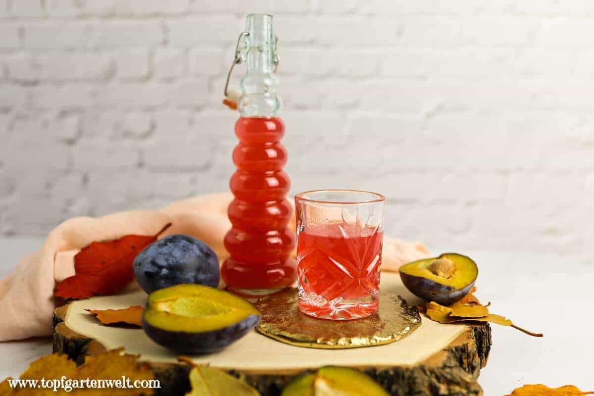 Zwetschgenlikör selber machen mit Wodka - Foodblog Topfgartenwelt