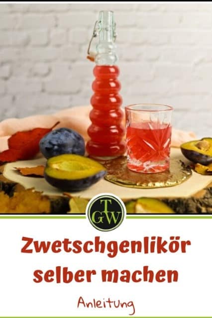 Zwetschgenlikör selber machen mit Wodka