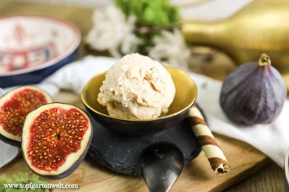 Feigeneis selber machen mit der Eismaschine - Foodblog Topfgartenwelt