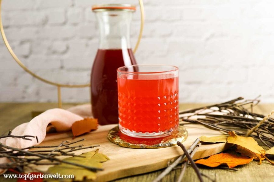 Kornelkirschen Sirup selber machen, Dirndlsirup einkochen - Foodblog Topfgartenwelt