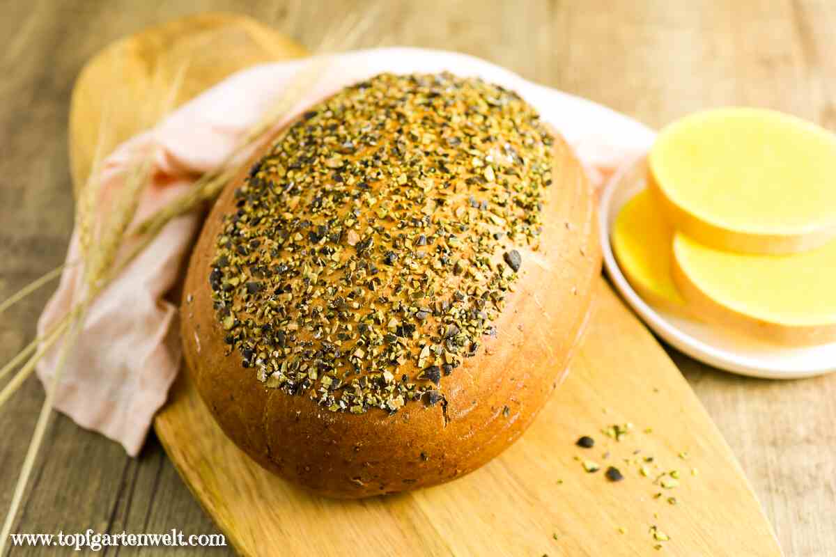 Kürbisbrot mit Dinkelmehl und Trockenhefe - Foodblog Topfgartenwelt