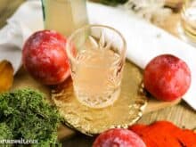 Pflaumenlikör selber machen mit Wodka - Foodblog Topfgartenwelt