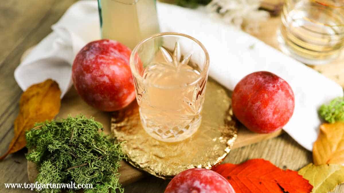 Pflaumenlikör selber machen mit Wodka - Foodblog Topfgartenwelt