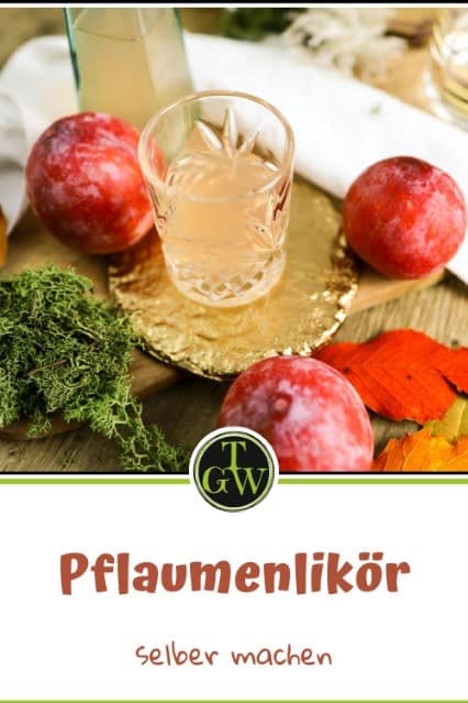 Pflaumenlikör selber machen mit Wodka