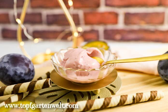 Herbstliches Zwetschgeneis aus der Eismaschine