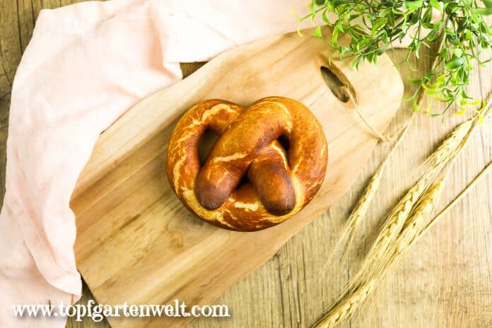 Eine Laugenbrezel liegt auf einem Holzbrett. Im Hintergrund befindet sich eine grüne Pflanze und ein rosarotes Leinentuch.