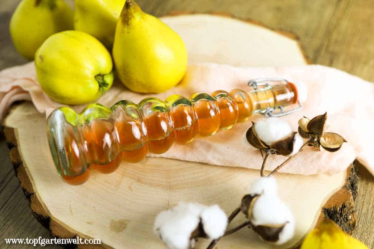 Quittenlikör selber machen mit Wodka - Foodblog Topfgartenwelt