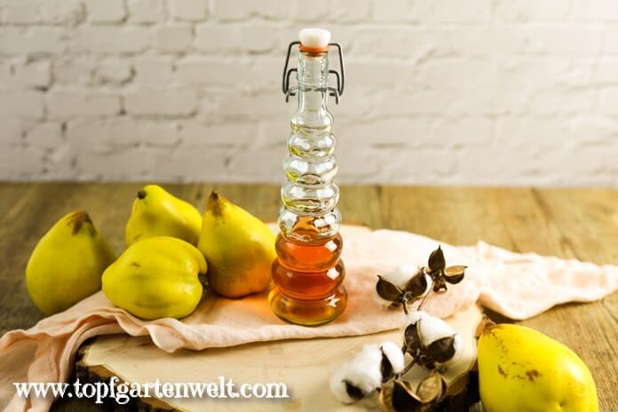 Eine kleine Flasche gefüllt mit Quittenlikör steht auf einer Baumscheibe. Im Hintergrund sind einige reife Quitten zu sehen.