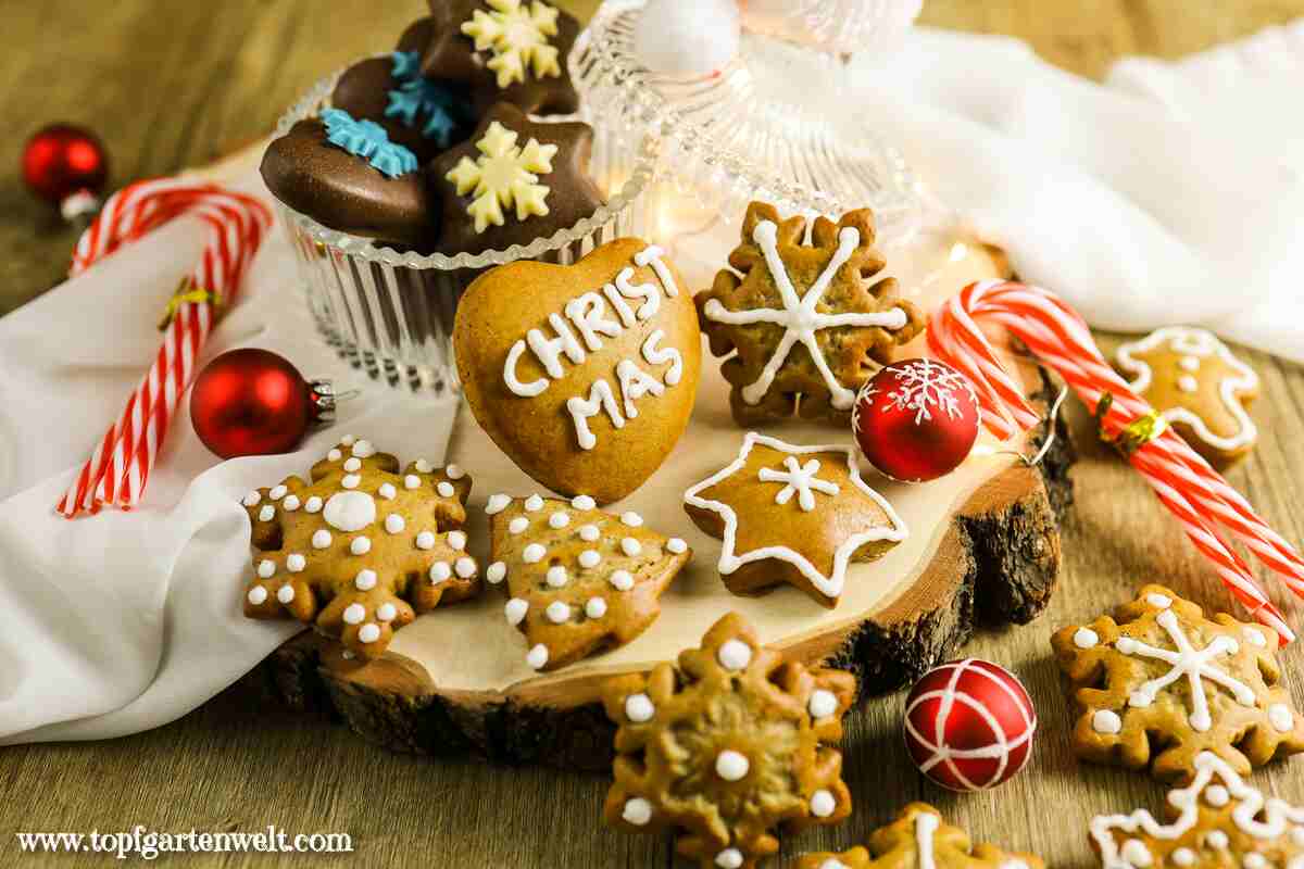 Lebkuchen Plätzchen backen, sofort weich, einfach zum Ausstechen - Foodblog Topfgartenwelt