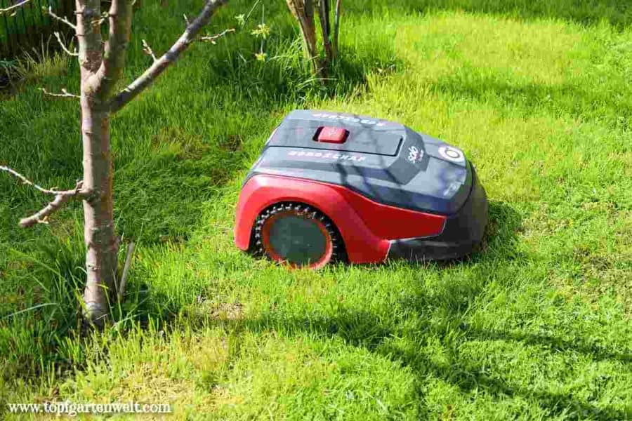 Mähroboter Erfahrungen, die Vorteile und Nachteile oder Gefahr für Igel und Kinder - Gartenblog Topfgartenwelt