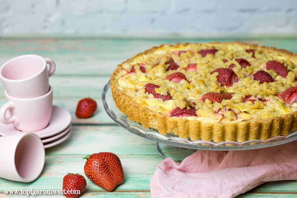 Erdbeer-Rhabarber-Kuchen mit Pudding und Streuseln - Foodblog Topfgartenwelt