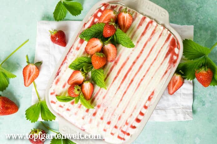 Ein Erdbeer-Tiramisu von oben fotografiert. Es ist garniert mit frischen Erdbeeren und ein paar Blättern.