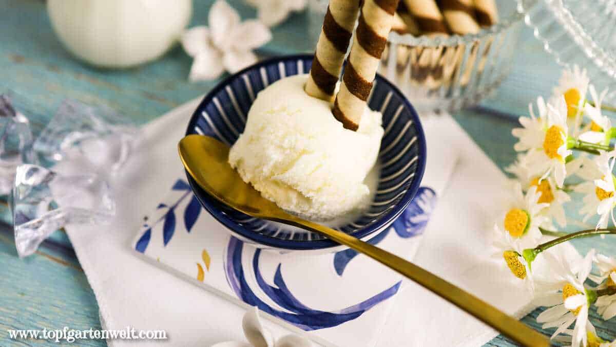 Fior di Latte Eis Rezept - Foodblog Topfgartenwelt