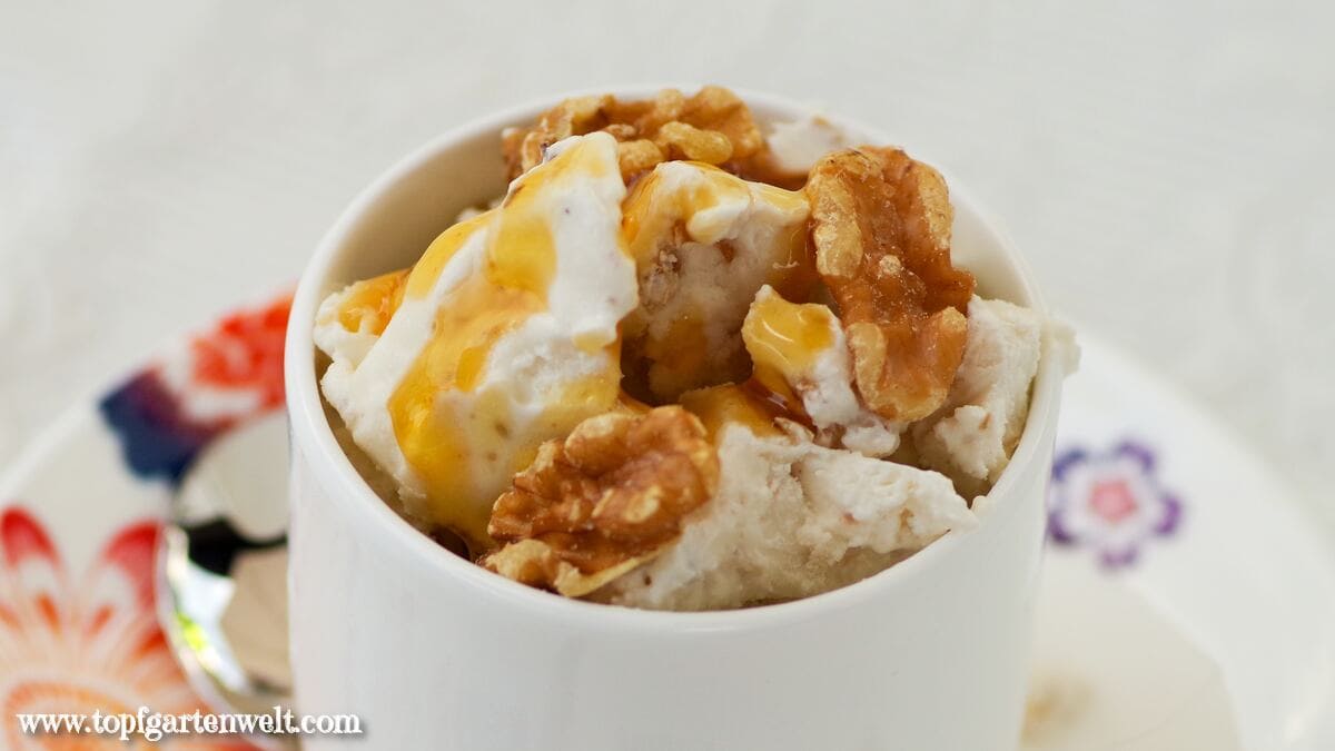 Frozen Yogurts mit Honig und Walnüssen - ein Rezept das an Griechenland erinnert - Foodblog Topfgartenwelt